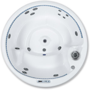 Спа бассейн Dimension One Spas Reflections Arena (рис.2)